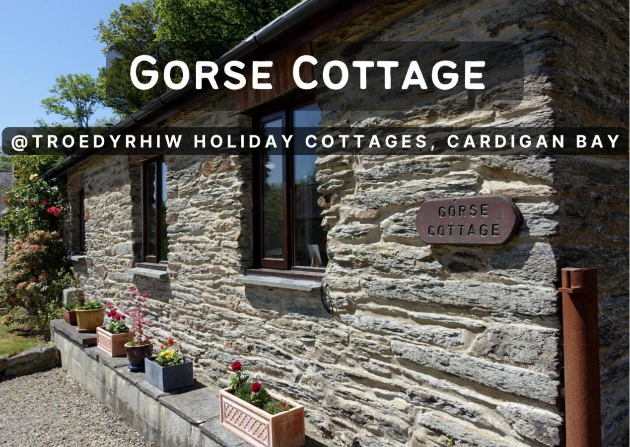 Troedyrhiw Holiday Cottages Cardigan Exteriör bild